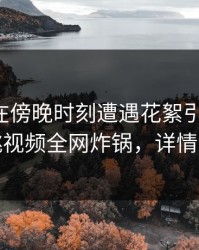圈内人在傍晚时刻遭遇花絮引发联想，樱桃视频全网炸锅，详情围观