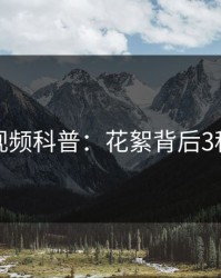 樱桃视频科普：花絮背后3种类型
