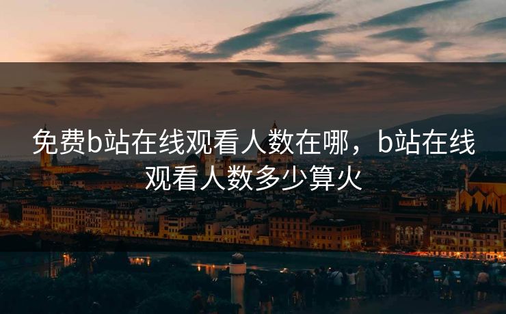 免费b站在线观看人数在哪，b站在线观看人数多少算火