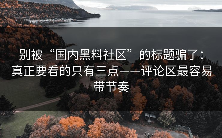 别被“国内黑料社区”的标题骗了：真正要看的只有三点——评论区最容易带节奏