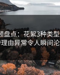 樱桃视频盘点：花絮3种类型，大V上榜理由异常令人瞬间沦陷